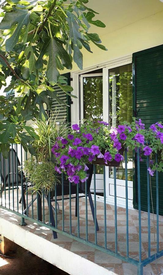 Lav Apartments Херцег-Нови Экстерьер фото